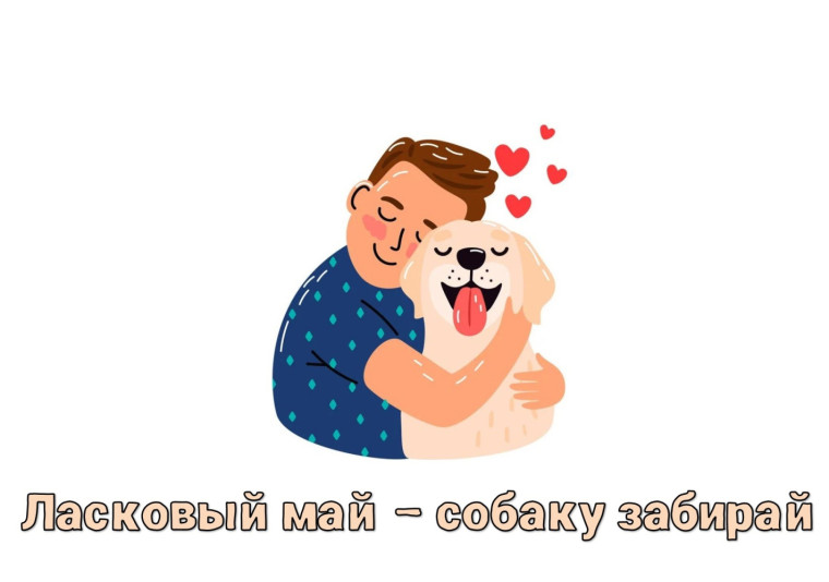 Ласковый май – собаку забирай.